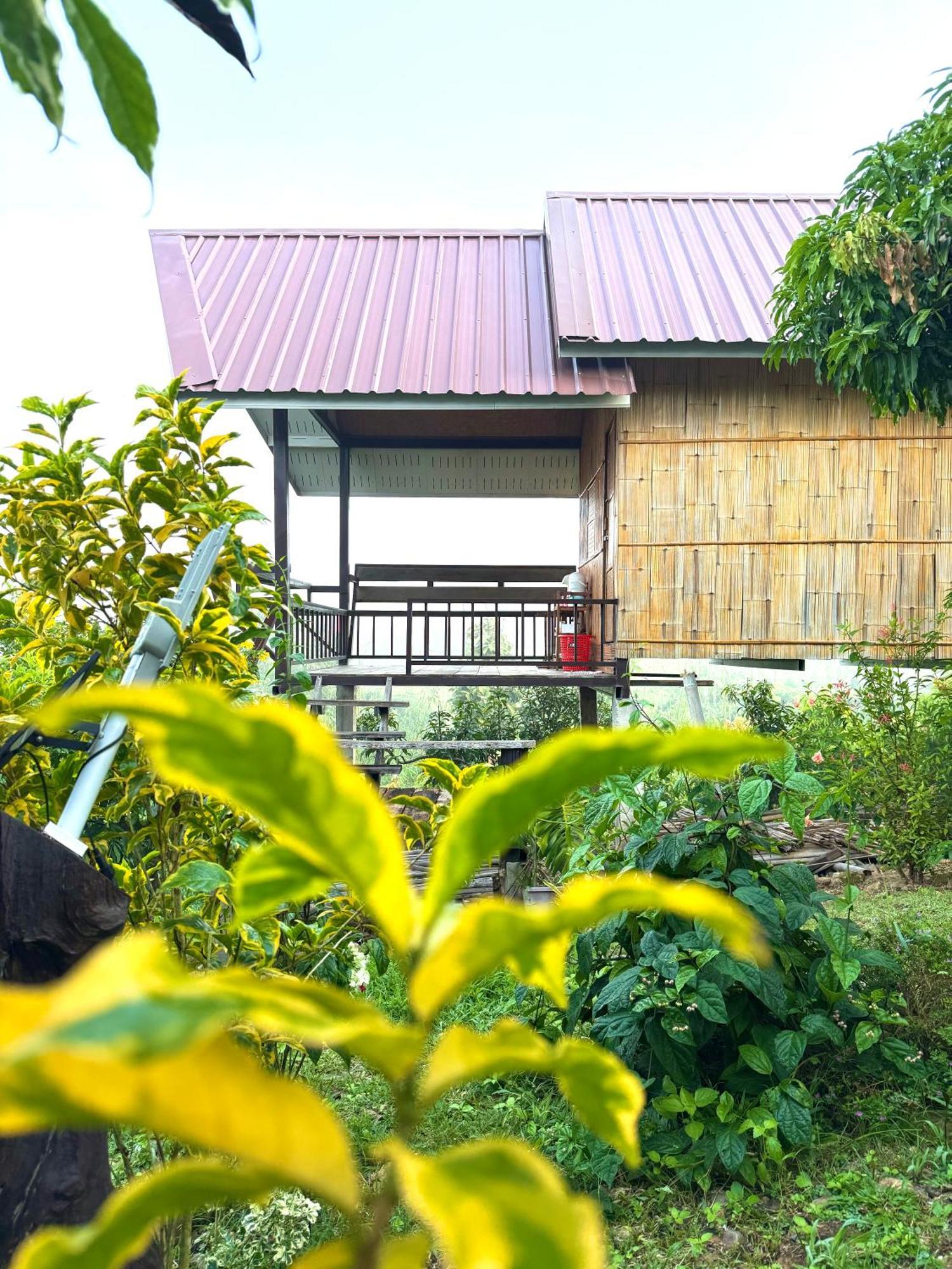 Doicherngngam Home Stay Chiang Dao Exteriör bild